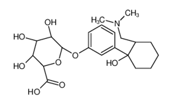 Picture of (2S,3S,4S,5R,6S)-6-[3-[2-[(dimethylamino)methyl]-1-hydroxycyclohexyl]phenoxy]-3,4,5-trihydroxyoxane-2-carboxylic acid