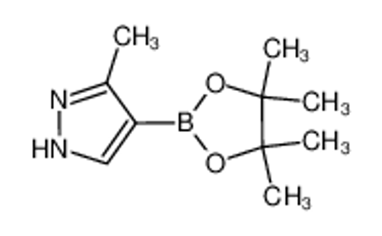 Picture of 3-Methyl-4-(4,4,5,5-tetramethyl-1,3,2-dioxaborolan-2-yl)-1H-pyrazole