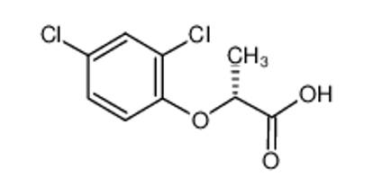 Picture of (R)-dichlorprop