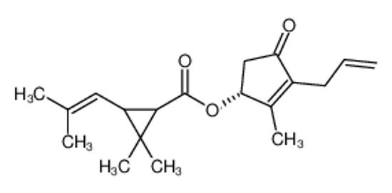 Picture of R-allethrin