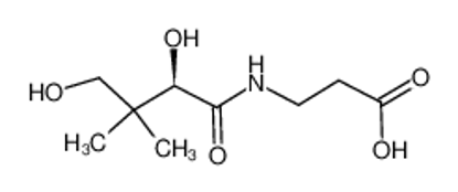 Picture of (R)-pantothenic acid