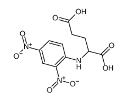Picture of 2-(2,4-dinitroanilino)pentanedioic acid