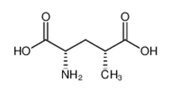 Picture of (2S,4R)-4-Methylglutamic Acid