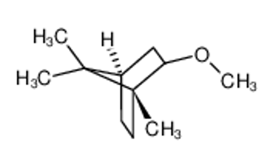 Picture of (+/-)-ISOBORNYL METHYL ETHER