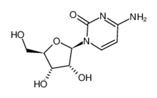 Picture of cytidine