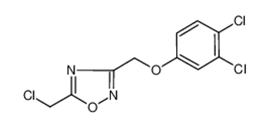 Picture of 5-(CHLOROMETHYL)-3-[(3,4-DICHLOROPHENOXY)METHYL]-1,2,4-OXADIAZOLE