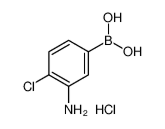 Picture of (3-Amino-4-chlorophenyl)boronic acid hydrochloride