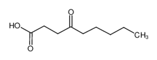 Picture of 4-OXONONANOIC ACID