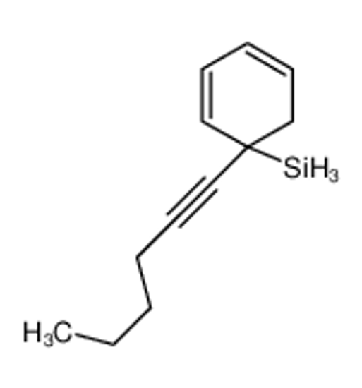 Picture of (1-hex-1-ynylcyclohexa-2,4-dien-1-yl)silane