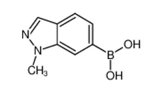 Picture of (1-Methyl-1H-indazol-6-yl)boronic acid