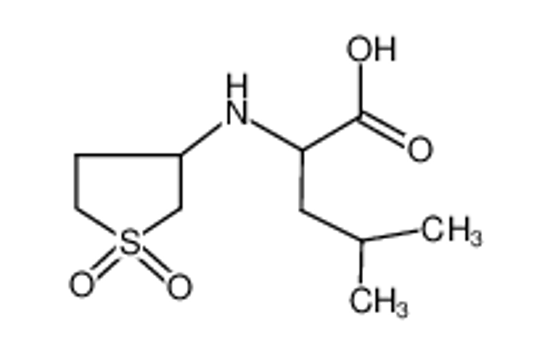 Picture of (2S)-2-[(1,1-dioxothiolan-3-yl)amino]-4-methylpentanoic acid