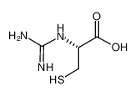 Picture of (2R)-2-(diaminomethylideneamino)-3-sulfanylpropanoic acid