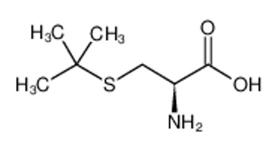 Picture of L-S-T-BUTYLCYSTEINE