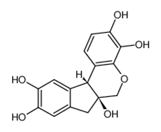 Picture of (+)-haematoxylin