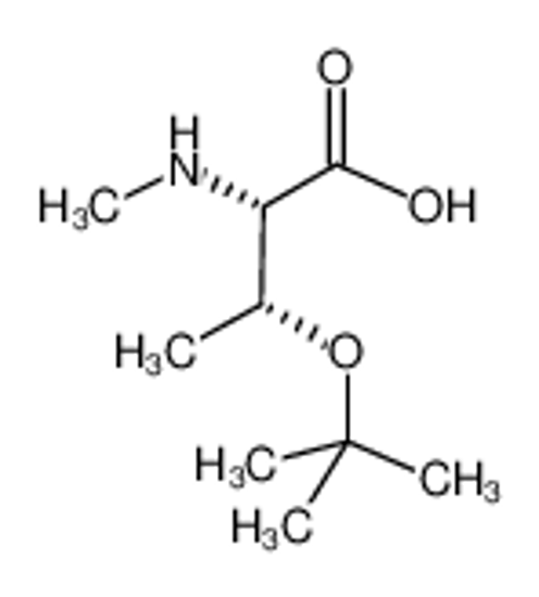 Picture of (2S,3R)-2-(methylamino)-3-[(2-methylpropan-2-yl)oxy]butanoic acid