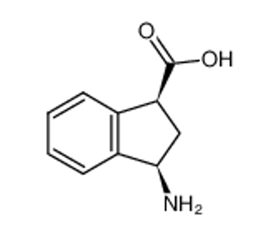 Picture of (+/-)-CIS-3-AMINO-1-INDANECARBOXYLIC ACID