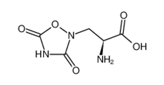 Picture of (+)-Quisqualic Acid