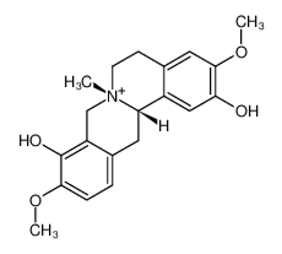 Picture of cyclanoline