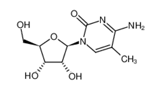Picture of 5-methylcytidine
