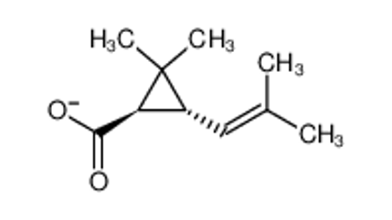 Picture of (+)-trans-allethrin