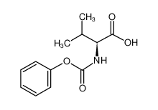 Picture of (2S)-3-methyl-2-(phenoxycarbonylamino)butanoic acid