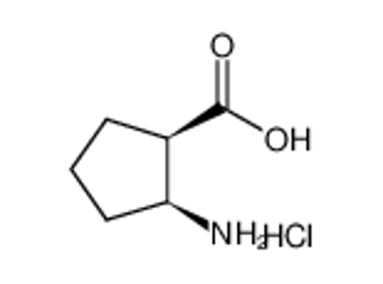 Picture of (1R,2S)-(-)-2-Amino-1-cyclopentanecarboxylic acid hydrochloride