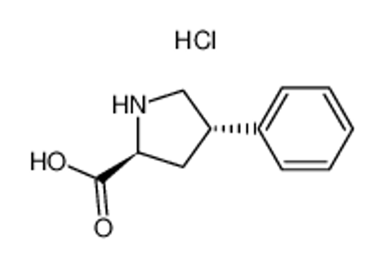 Picture of (2S,4S)-4-Phenylpyrrolidine-2-carboxylic acid hydrochloride