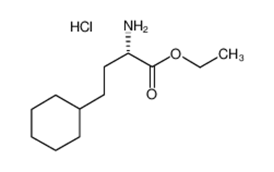 Picture of (+)-ETHYL (S)-2-AMINO-4-CYCLOHEXYLBUTYRATE HYDROCHLORIDE