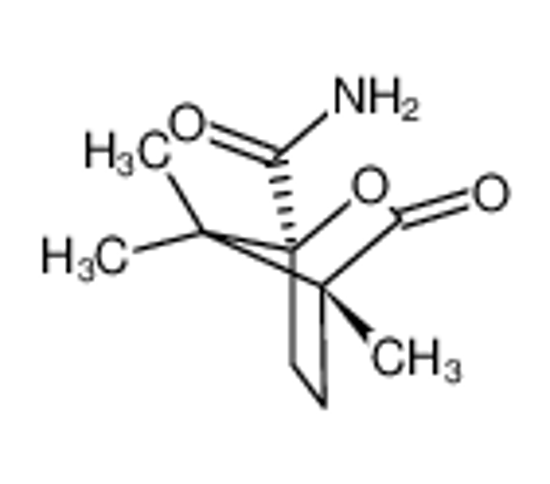 Picture of (1S)-(-)-CAMPHANIC ACID AMIDE