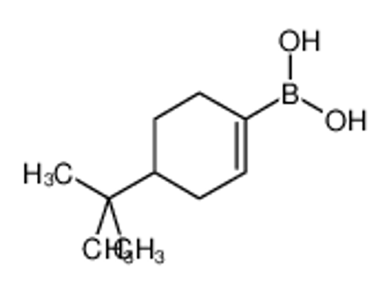 Picture of 4-t-Butylcyclohexen-1-ylboronic acid