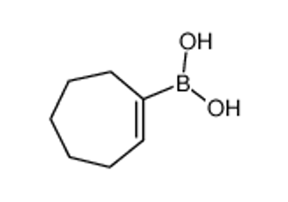Show details for Cyclohept-1-en-1-ylboronic acid