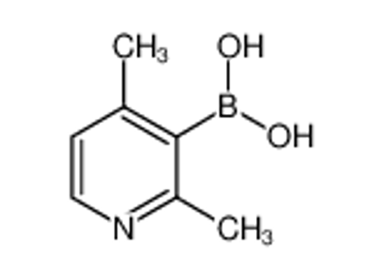 Picture of (2,4-dimethylpyridin-3-yl)boronic acid