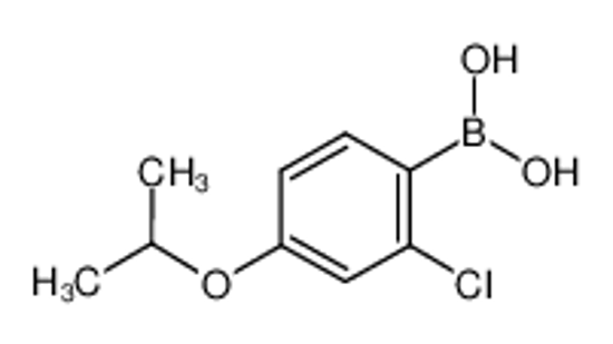 Picture of (2-chloro-4-propan-2-yloxyphenyl)boronic acid