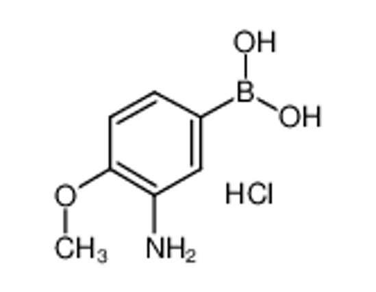 Picture of (3-Amino-4-methoxyphenyl)boronic acid hydrochloride