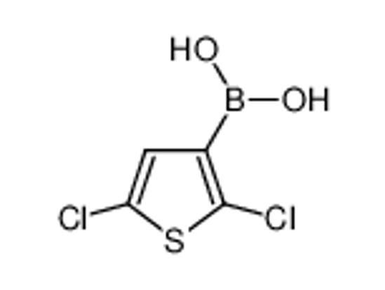 Picture of (2,5-dichlorothiophen-3-yl)boronic acid