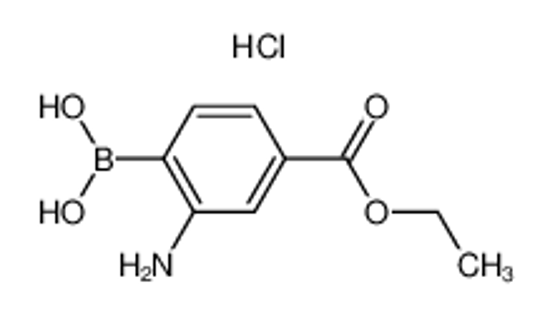 Picture of (2-amino-4-ethoxycarbonylphenyl)boronic acid,hydrochloride