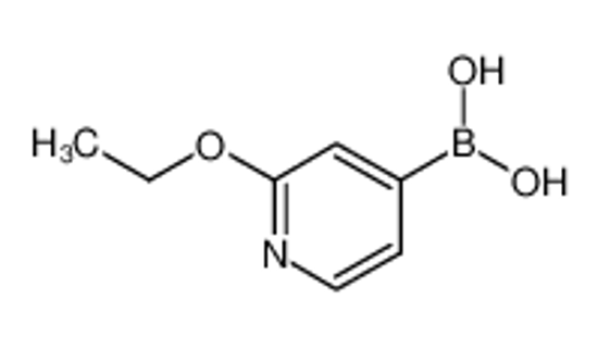 Picture of (2-ethoxypyridin-4-yl)boronic acid