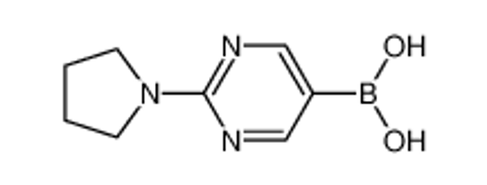 Picture of (2-pyrrolidin-1-ylpyrimidin-5-yl)boronic acid