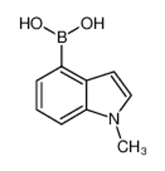 Picture of (1-methylindol-4-yl)boronic acid