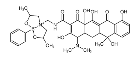 Picture of 4-(dimethylamino)-N-[(3,7-dimethyl-5-phenyl-4,6-dioxa-1-azonia-5-boranuidabicyclo[3.3.0]octan-1-yl)methyl]-1,6,10,11,12a-pentahydroxy-6-methyl-3,12-dioxo-4,4a,5,5a-tetrahydrotetracene-2-carboxamide