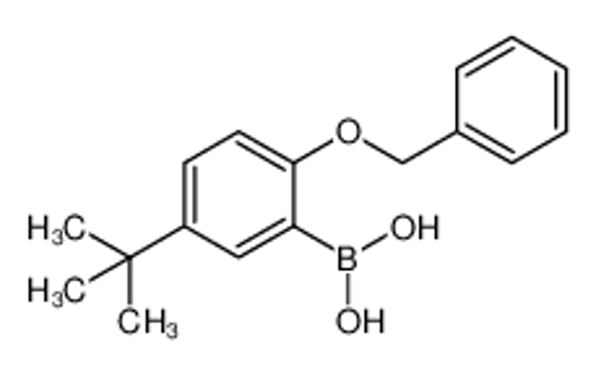 Picture of (2-(Benzyloxy)-5-(tert-butyl)phenyl)boronic acid