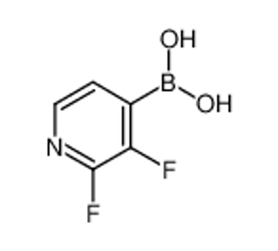 Picture of (2,3-Difluoro-4-pyridinyl)boronic acid
