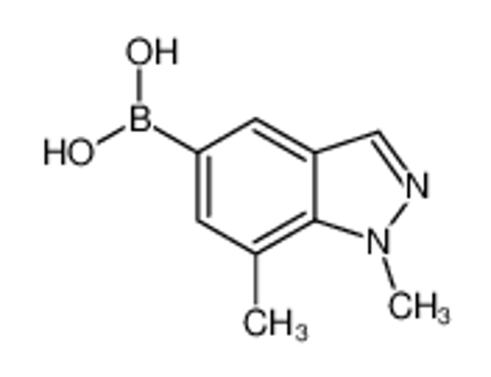 Picture of (1,7-dimethylindazol-5-yl)boronic acid