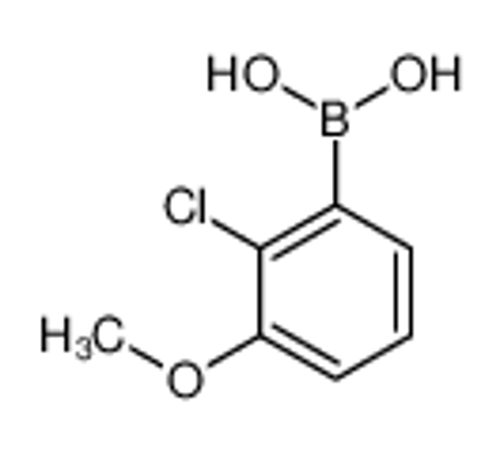 Picture of (2-Chloro-3-methoxyphenyl)boronic acid