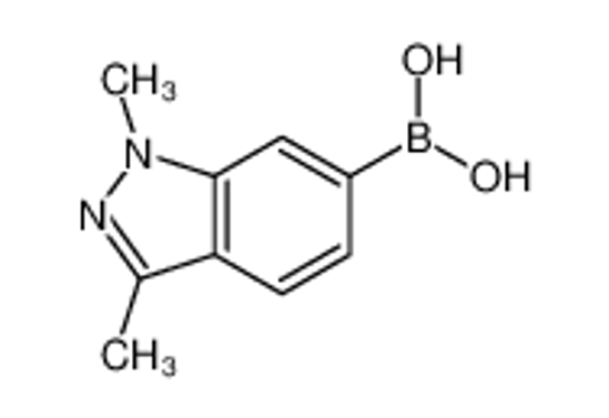 Picture of (1,3-dimethylindazol-6-yl)boronic acid