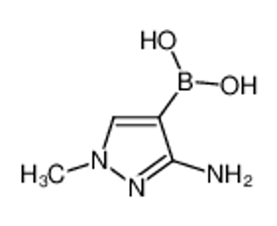 Picture of (3-amino-1-methylpyrazol-4-yl)boronic acid