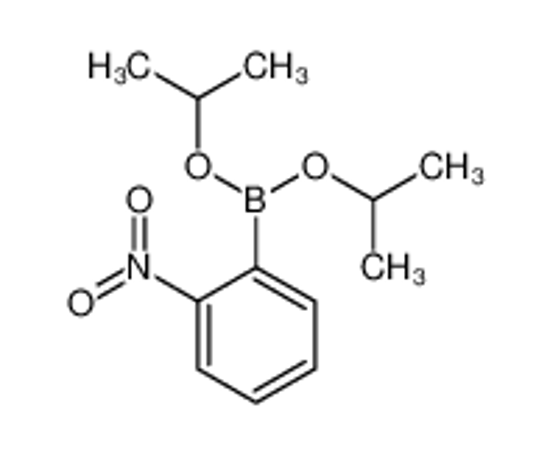 Picture of (2-nitrophenyl)-di(propan-2-yloxy)borane