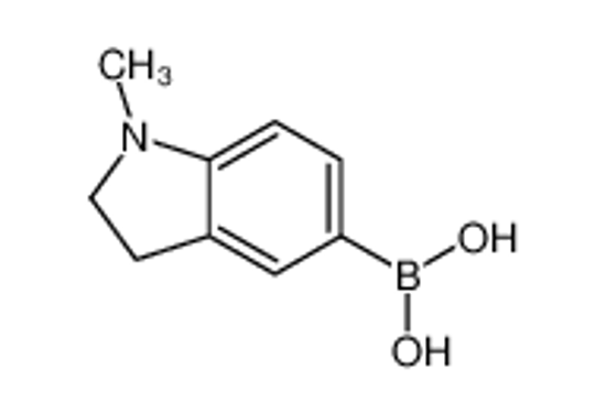 Picture of (1-methyl-2,3-dihydroindol-5-yl)boronic acid