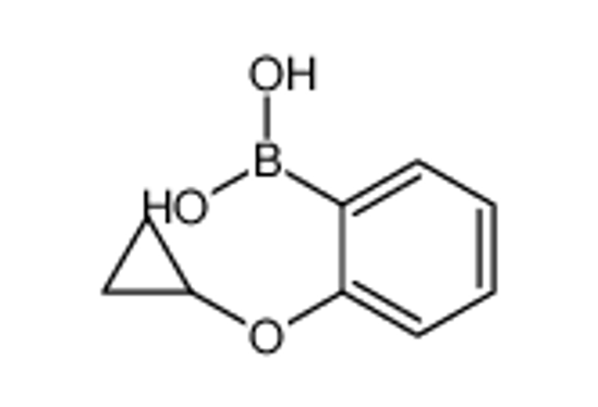 Picture of (2-cyclopropyloxyphenyl)boronic acid