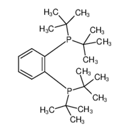 Picture of ditert-butyl-(2-ditert-butylphosphanylphenyl)phosphane